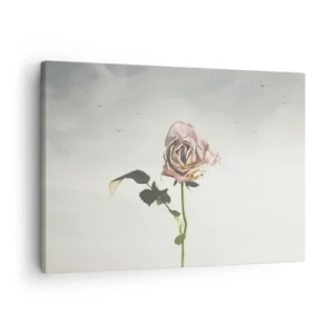 Cuadro sobre lienzo - Impresión de Imagen - Una delicada rosa contra un cielo brillante con pájaros volando. - 70x50cm - Bienvenida a la primavera - Decoración de pared moderna para salón y dormitorio ARTTOR