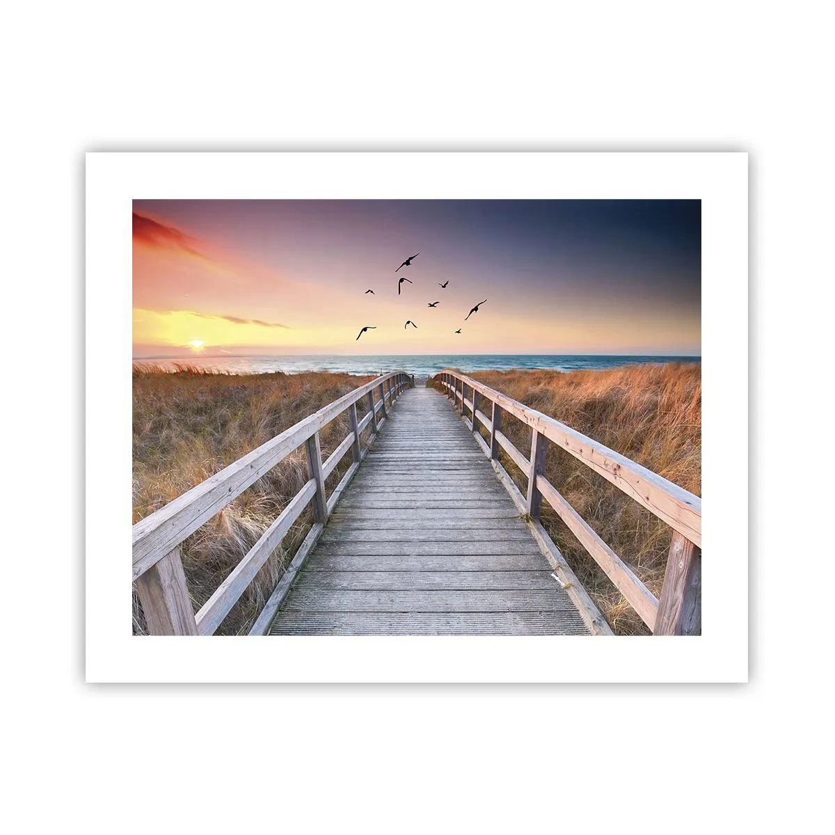 Póster - Camino a lo desconocido - 50x40 cm