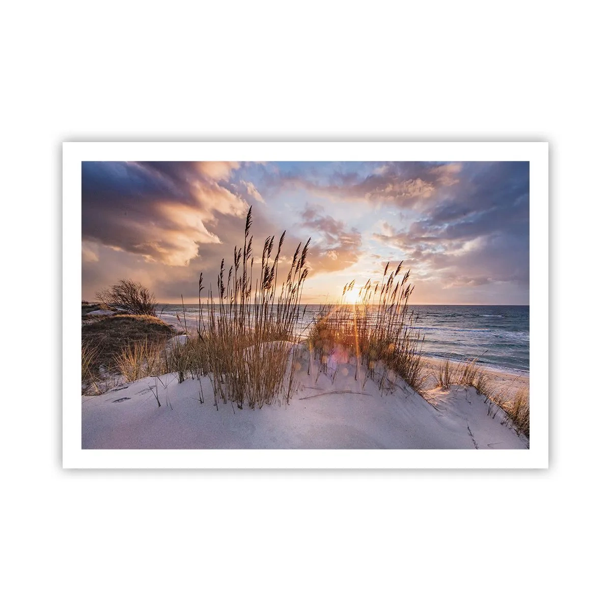 Póster - Adiós al sol y al viento - 91x61 cm
