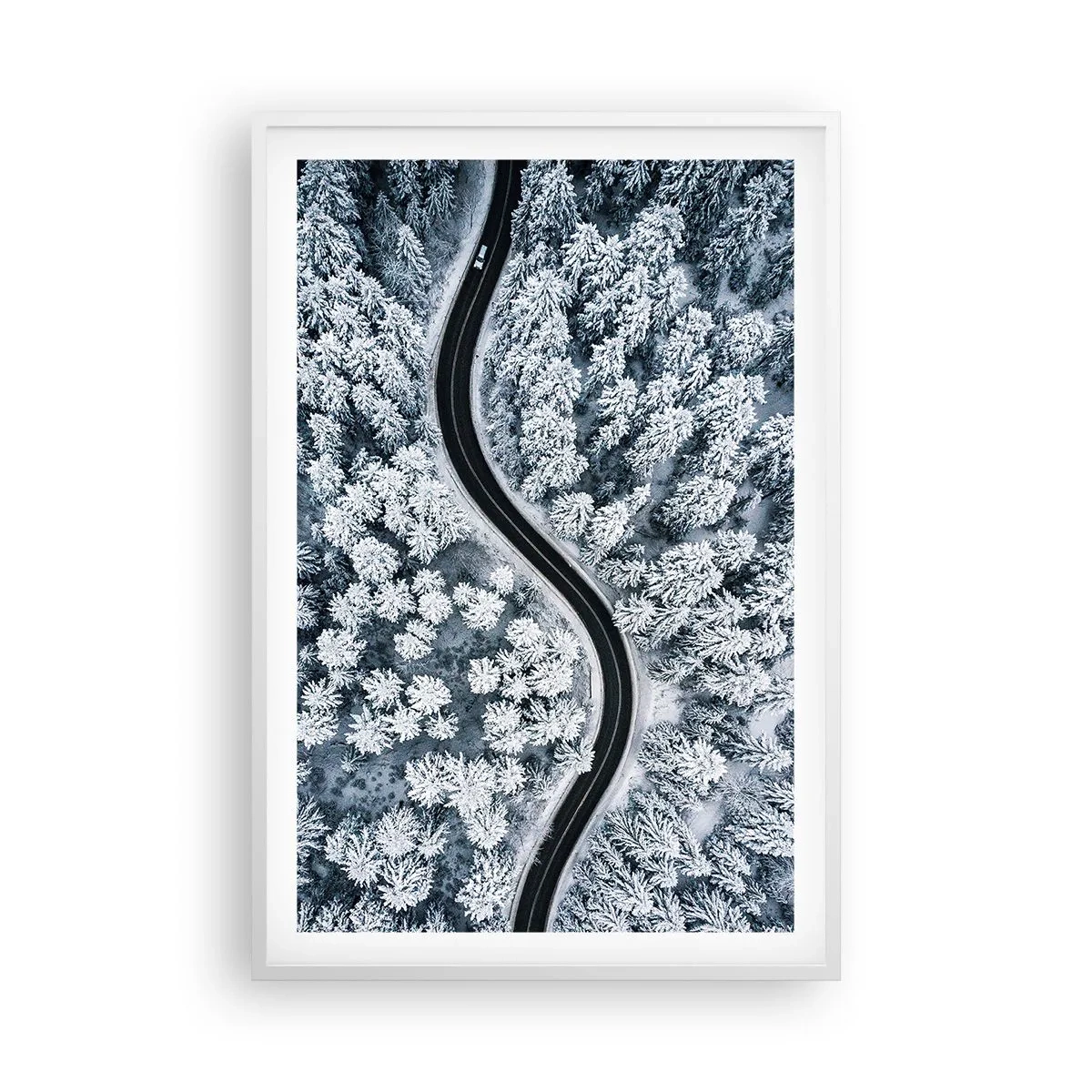 Póster en marco blanco - A través de un bosque invernal - 61x91 cm