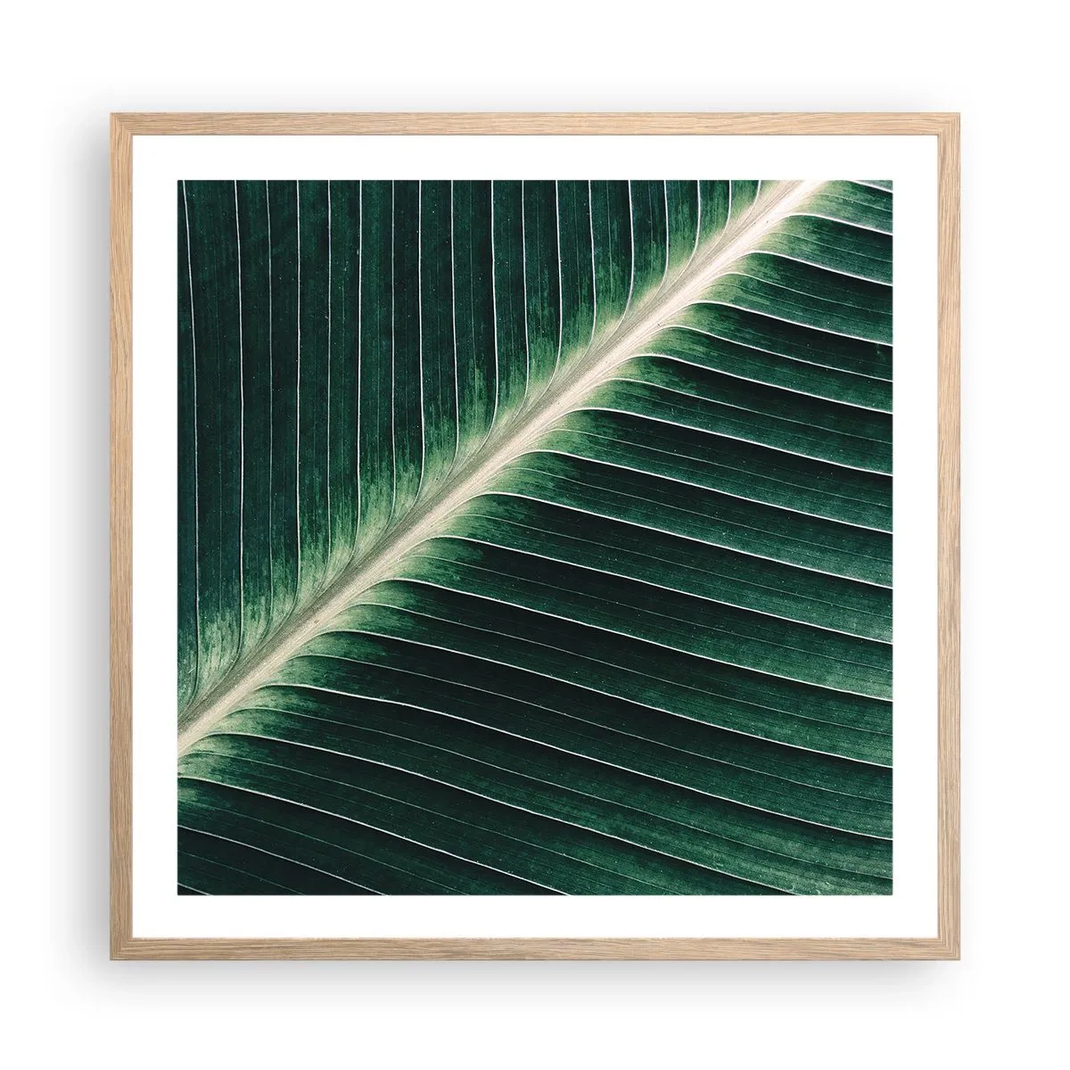 Póster en marco roble claro - El ritmo de la naturaleza - 60x60 cm