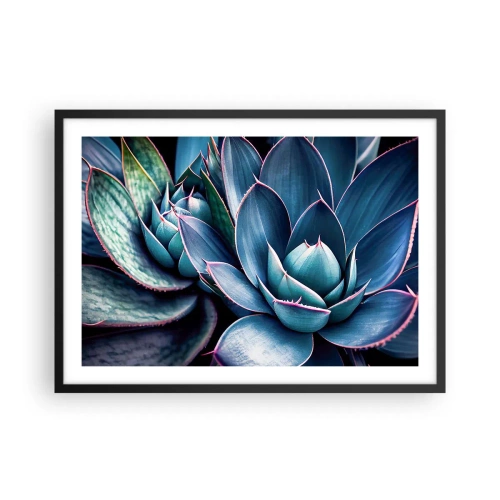 Póster en marco negro - Agave en tonos azules y verdes con acentos rosados. - 70x50cm - Fuerza vital - Decoración de pared moderna para salón y dormitorio ARTTOR