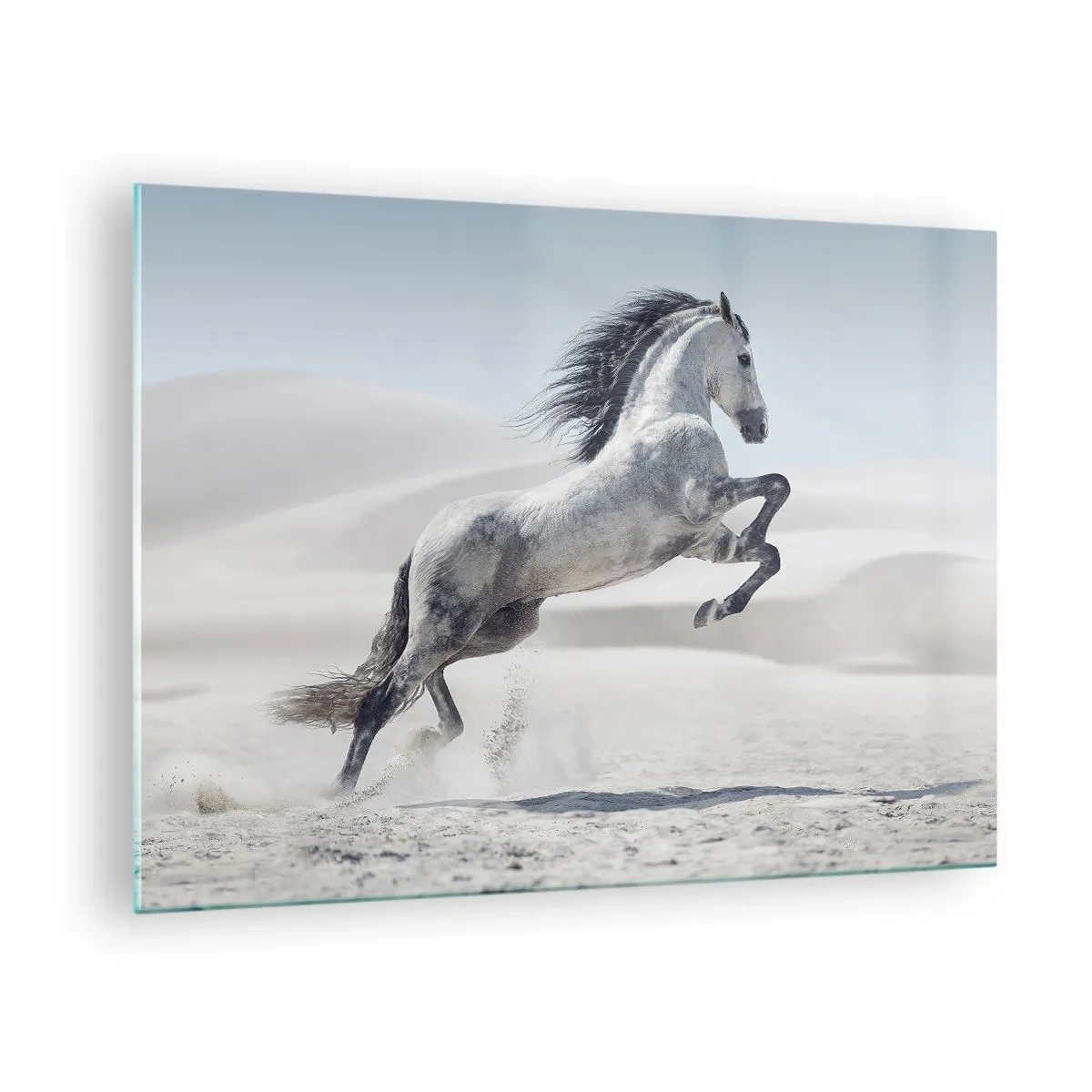 Cuadro sobre vidrio - Impresiones sobre Vidrio - Un caballo blanco saltando con el telón de fondo de las dunas del desierto. - 70x50cm - Un príncipe árabe - Decoración de pared moderna para salón y dormitorio ARTTOR