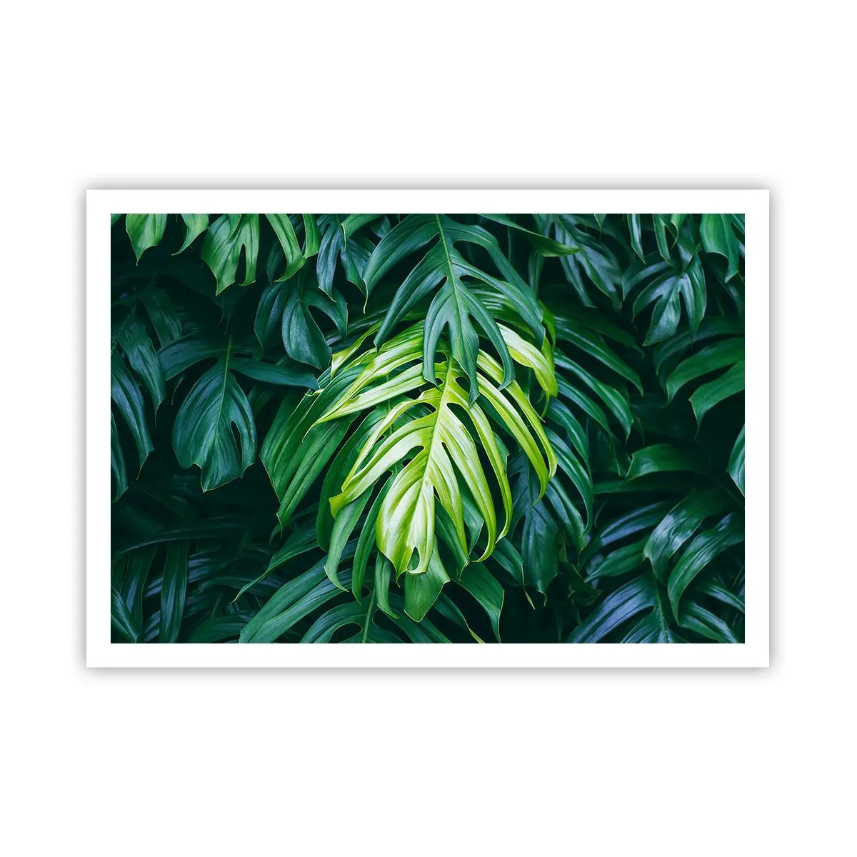 Póster - Hojas verdes en un denso arreglo tropical. - 100x70cm - Sumérjase en la frescura - Decoración de pared moderna para salón y dormitorio ARTTOR