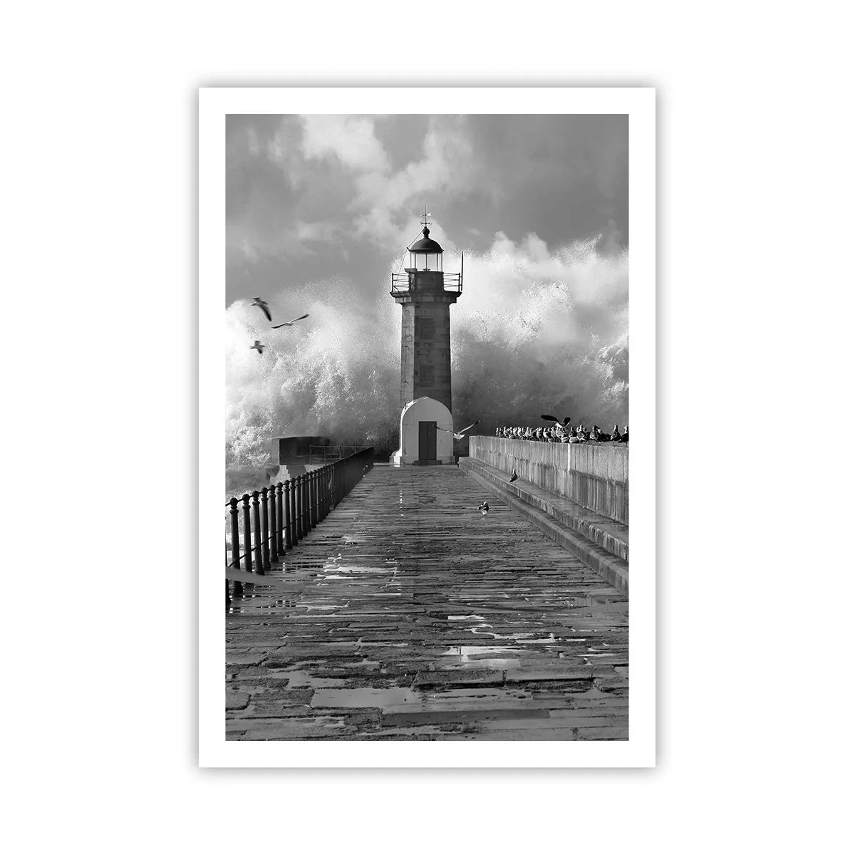 Póster - Audaz - 61x91 cm