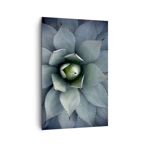 Cuadro sobre lienzo - Impresión de Imagen - Primer plano de una roseta de agave en delicados tonos verdes. - 80x120cm - Perfección natural - Decoración de pared moderna para salón y dormitorio ARTTOR