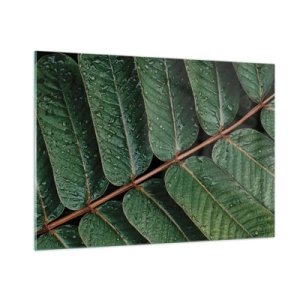 Cuadro sobre vidrio - Impresiones sobre Vidrio - Primer plano de hojas verdes con gotas de agua. - 100x70cm - En un ritmo verde - Decoración de pared moderna para salón y dormitorio ARTTOR