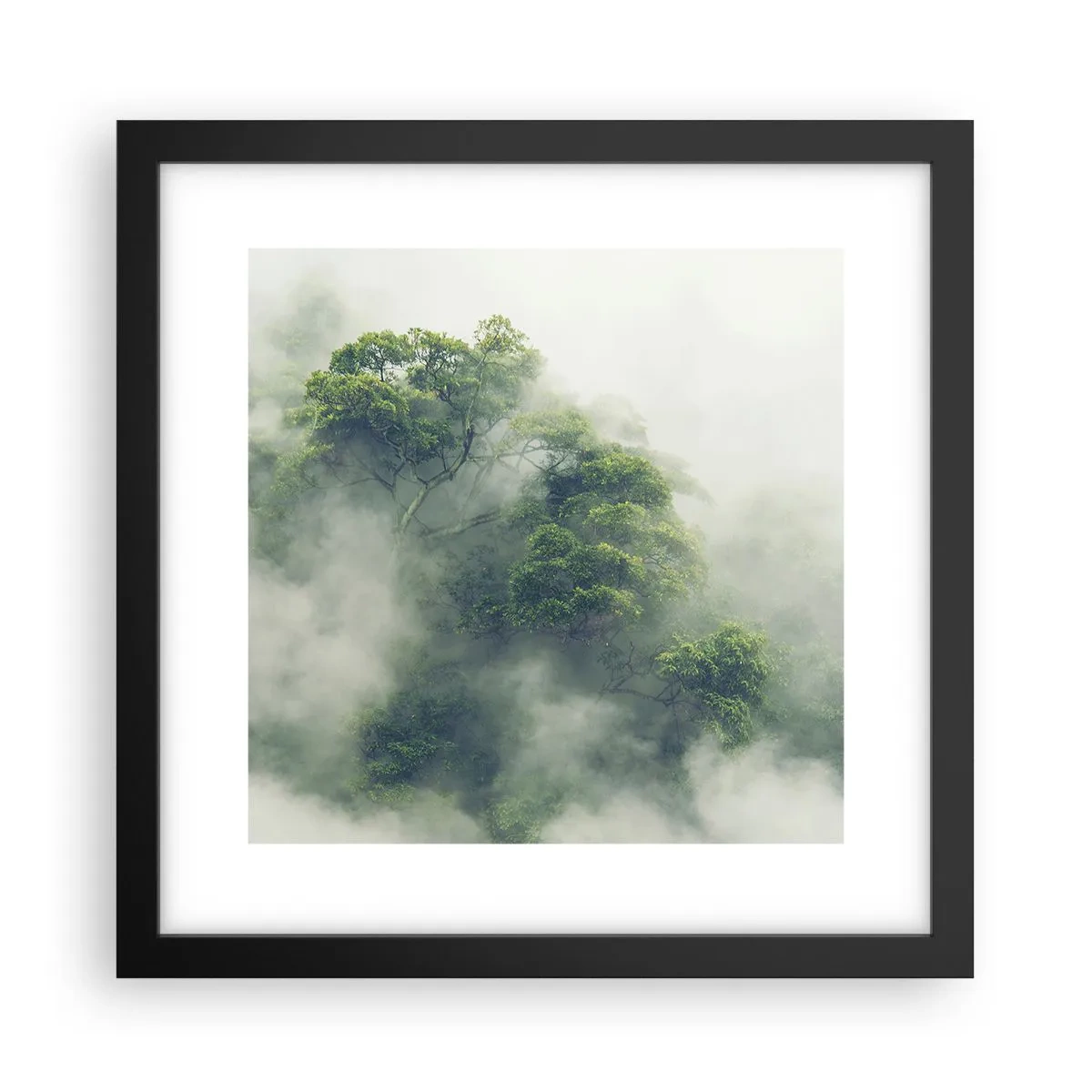 Póster en marco negro - Envuelto en niebla - 30x30 cm