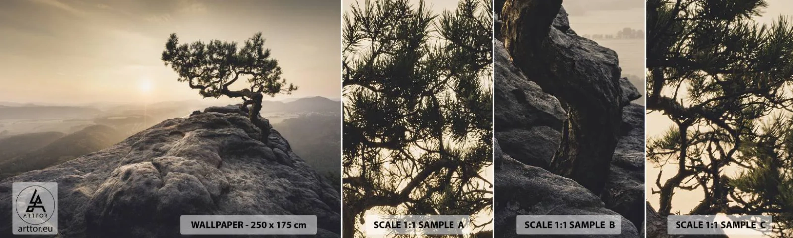 Muestra de fotomural autoadhesivo Deluxe Sticker - La vida se abre camino - paisaje de montaña, Pino, Montañas - 100x30 cm