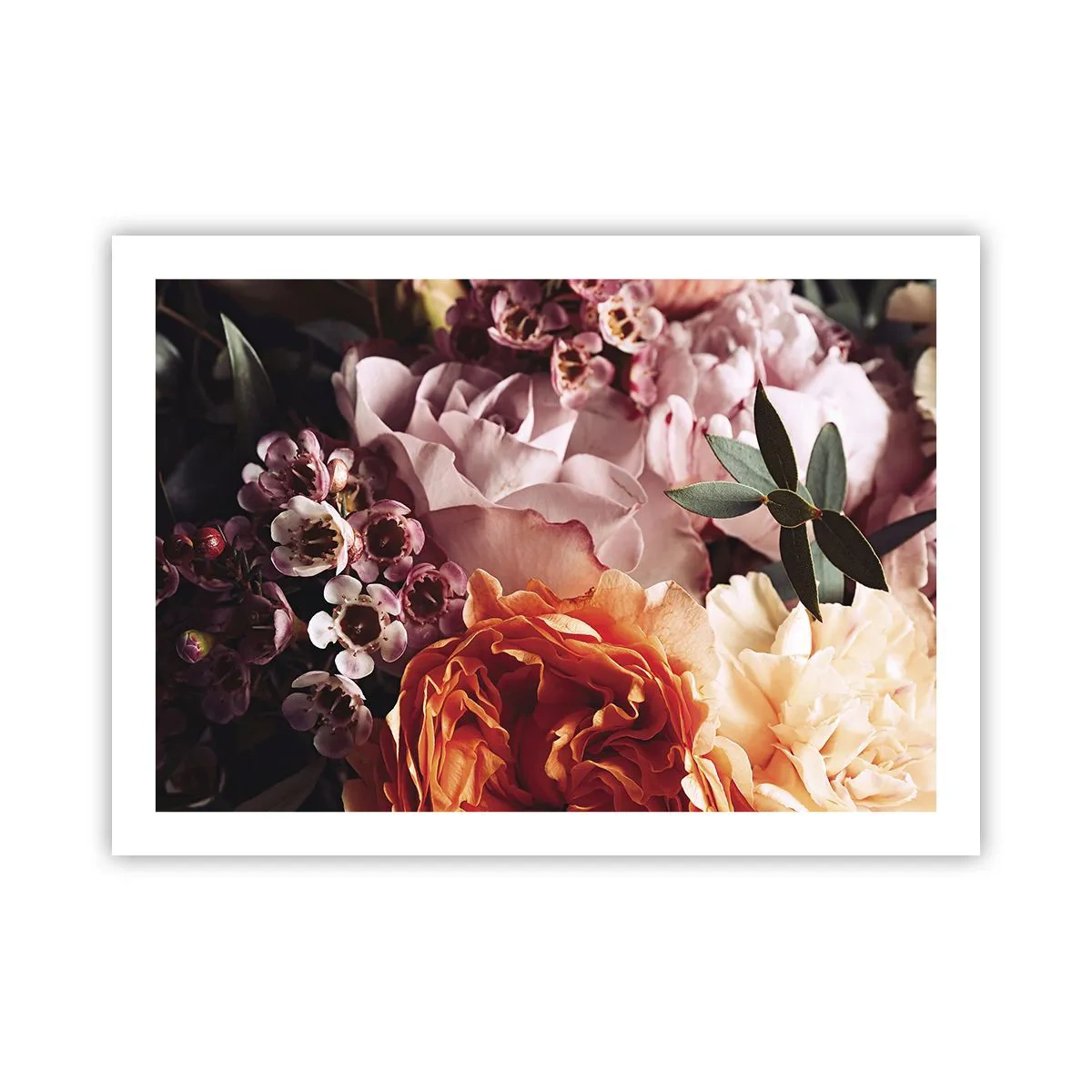 Póster - Belleza envolvente - 70x50 cm