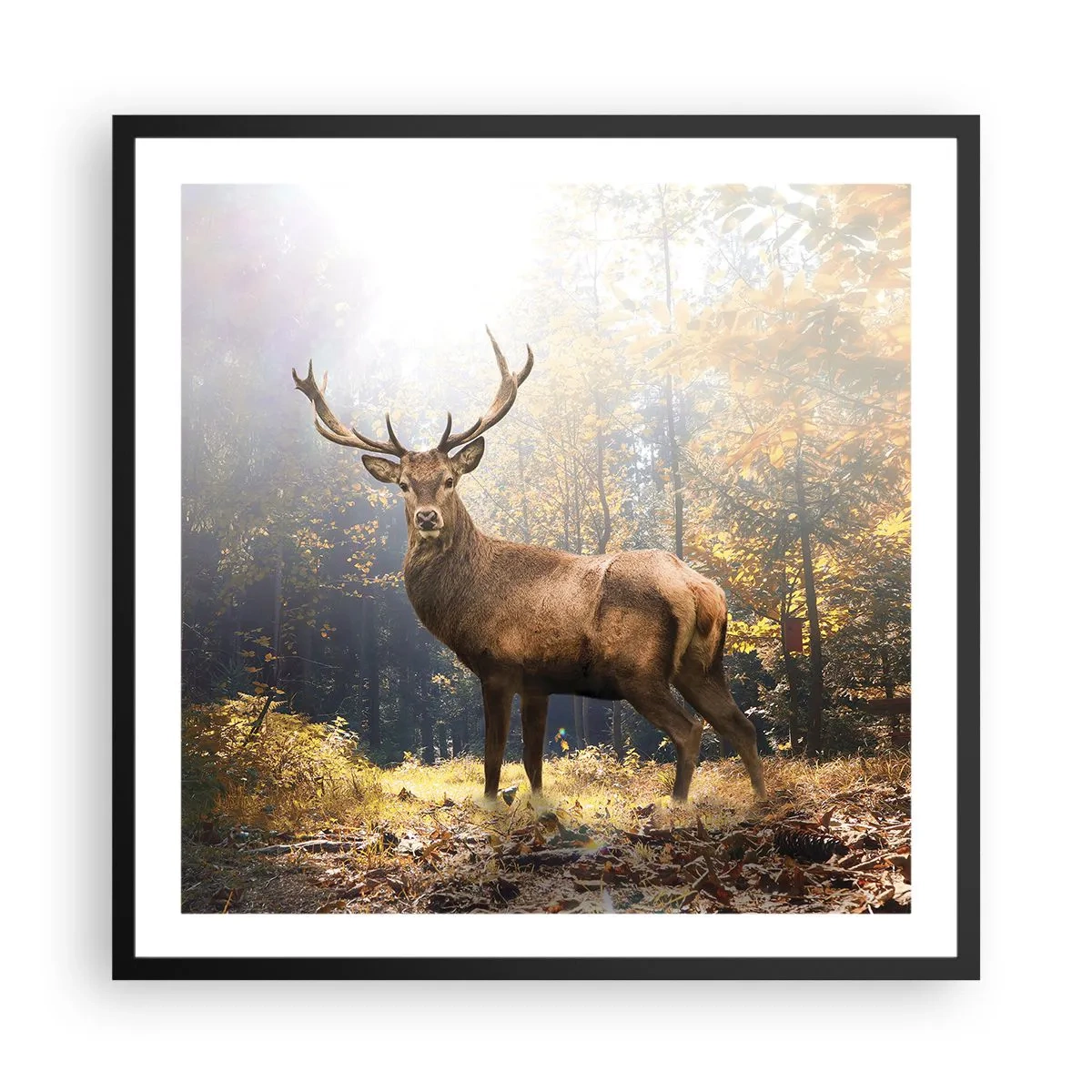 Póster en marco negro - Con toda la majestuosidad - 60x60 cm
