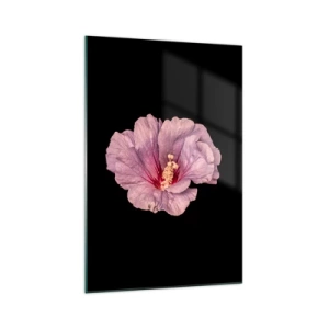 Cuadro sobre vidrio - Impresiones sobre Vidrio - Flor rosa sobre fondo negro - 70x100cm - Directo al corazón - Decoración de pared moderna para salón y dormitorio ARTTOR
