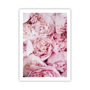 Póster - Un primer plano de delicadas peonías rosas en plena floración. - 50x70cm - Cálido y fragante - Decoración de pared moderna para salón y dormitorio ARTTOR