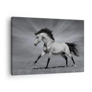 Cuadro sobre lienzo - Impresión de Imagen - Un caballo blanco y negro en una pose dinámica en el desierto. - 70x50cm - Nacido para deleitar - Decoración de pared moderna para salón y dormitorio ARTTOR