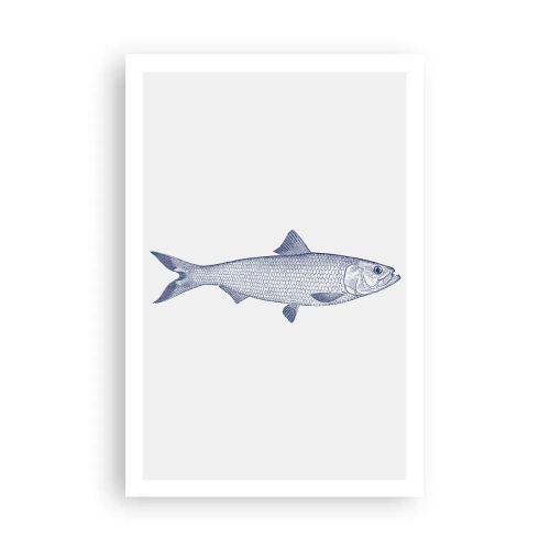 Póster - Saludos desde los mares del norte - 61x91 cm