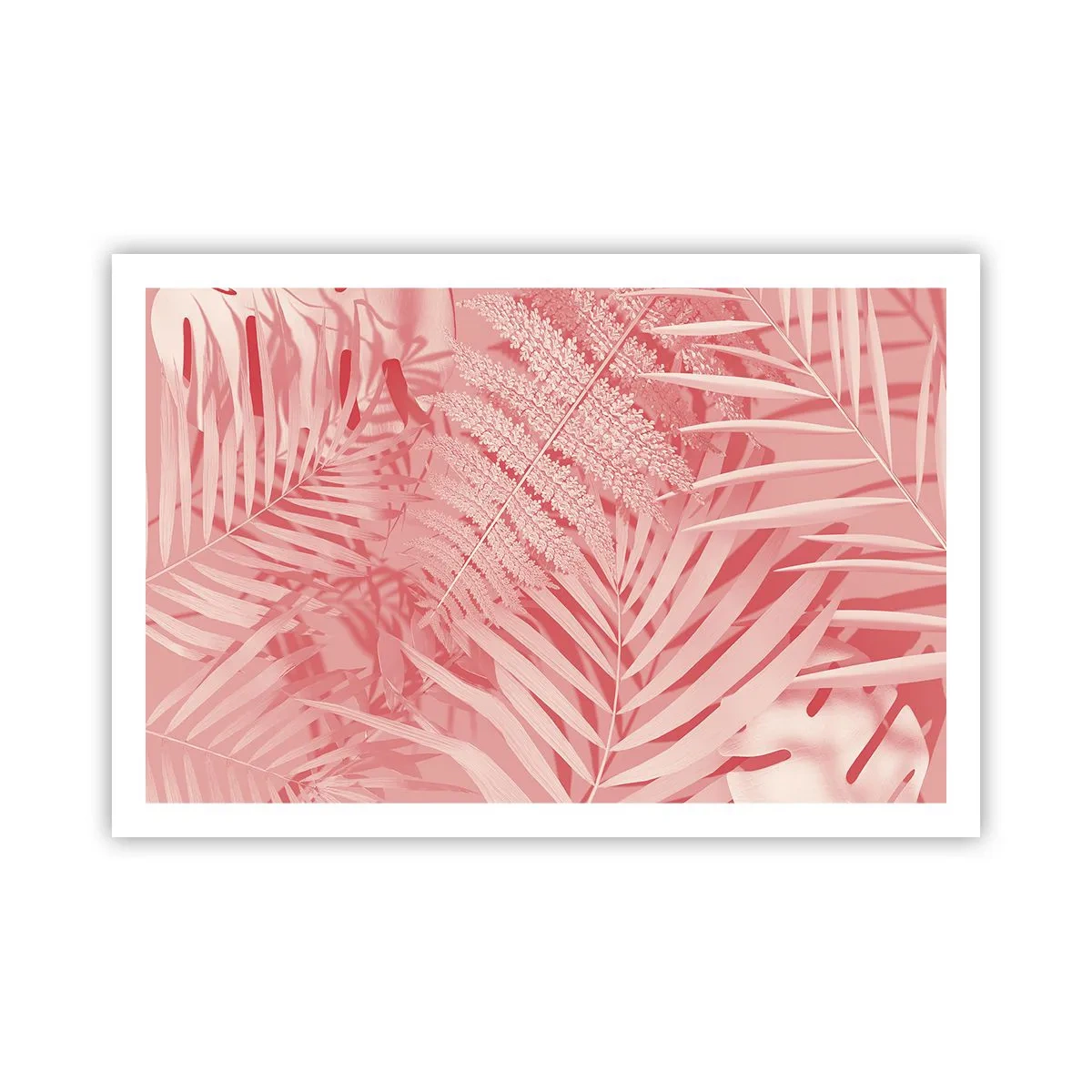 Póster - Concepto rosa - 91x61 cm