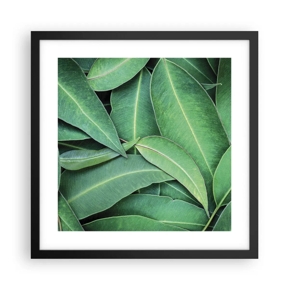 Póster en marco negro - Jugosidad y frescura - 40x40 cm