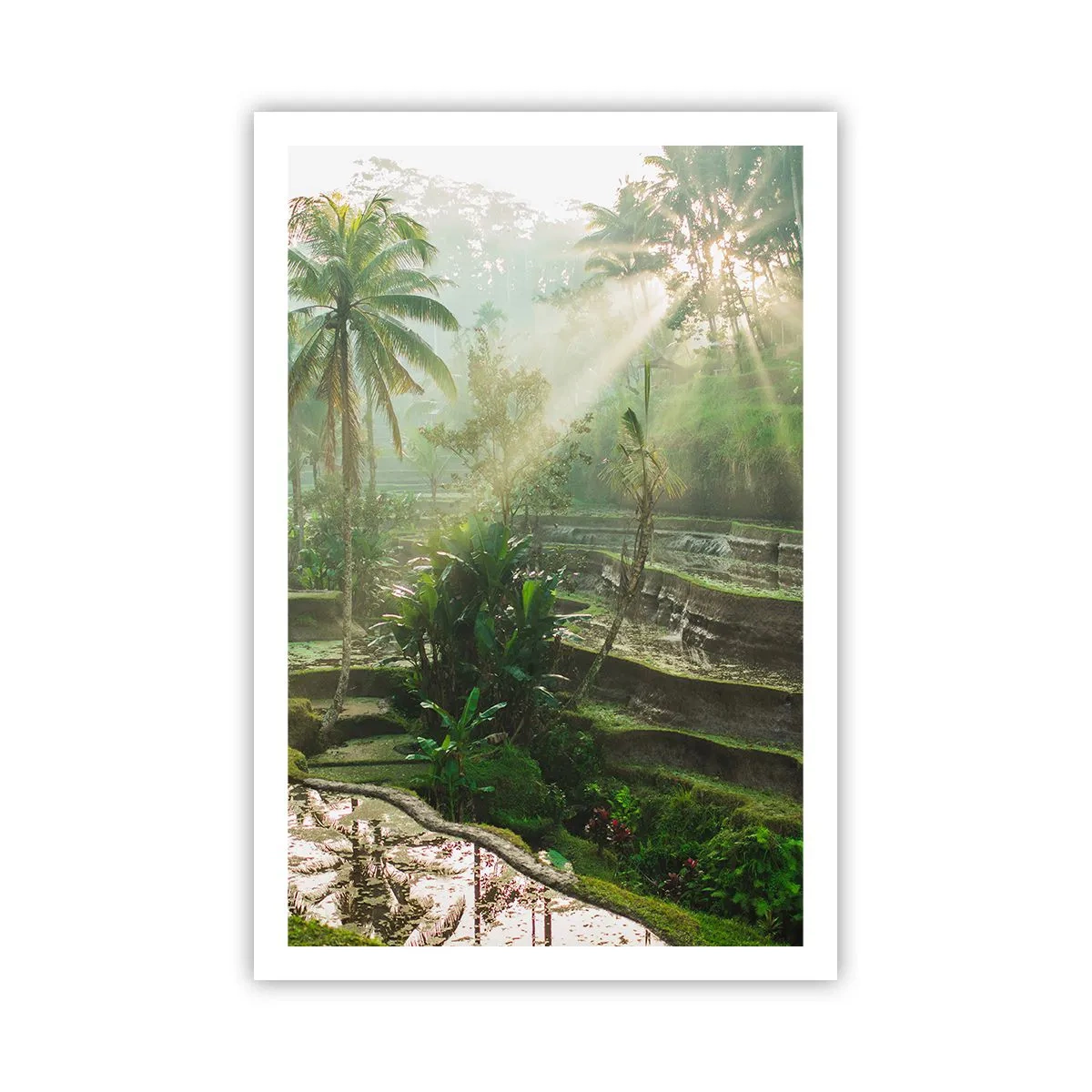 Póster - Crecer bajo el sol - 61x91 cm