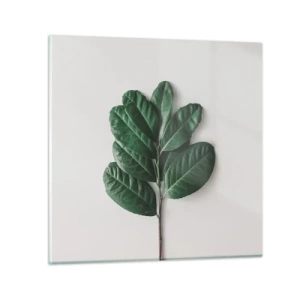 Cuadro sobre vidrio - Impresiones sobre Vidrio - El dibujo de la propia naturaleza - 70x70 cm