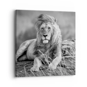 Cuadro sobre lienzo - Impresión de Imagen - La siesta real - 40x40 cm