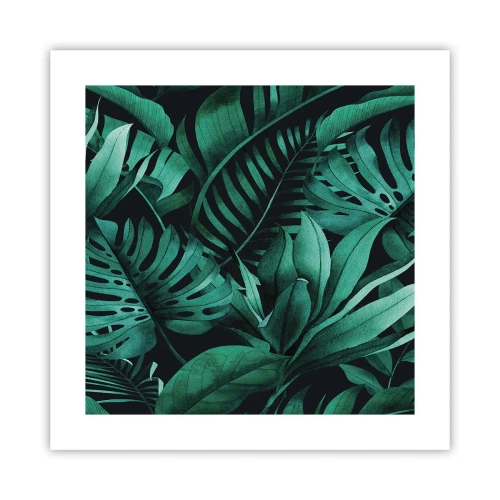 Póster - Profundidad del verde tropical - 40x40 cm