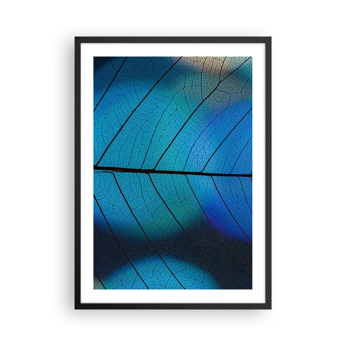 Póster en marco negro - Primer plano de una hoja azul con venas prominentes - 50x70cm - Construcción intrincada - Decoración de pared moderna para salón y dormitorio ARTTOR