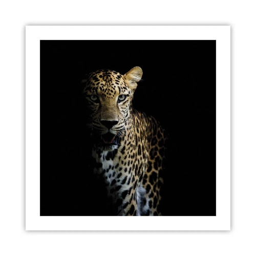 Póster - Belleza oscura - 50x50 cm