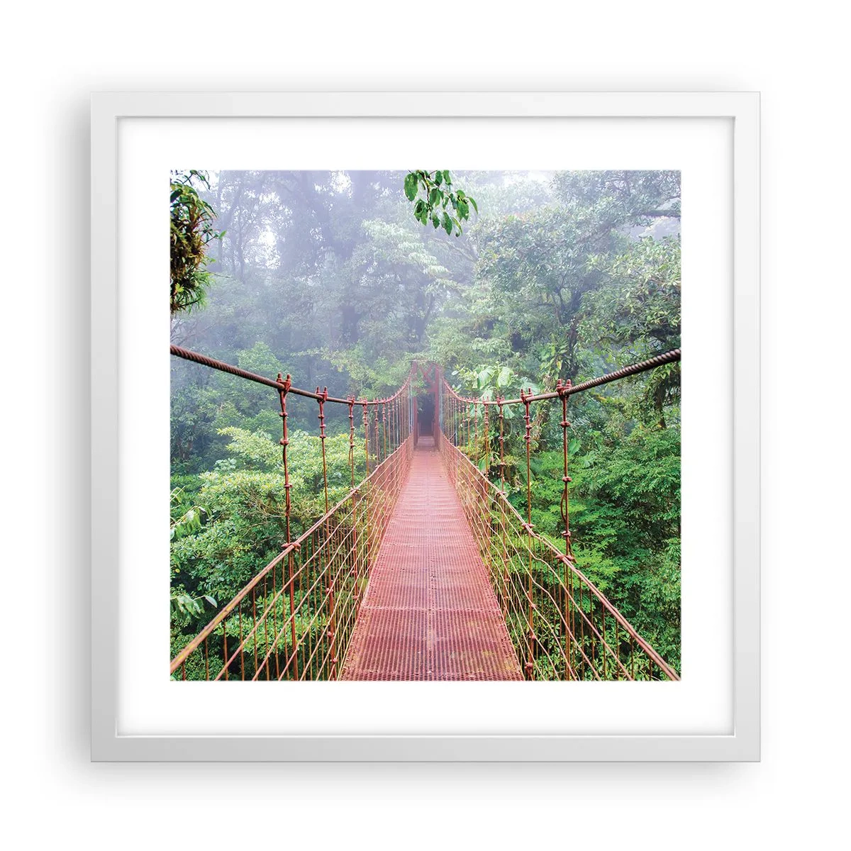 Póster en marco blanco - Suspendido sobre las copas - 40x40 cm