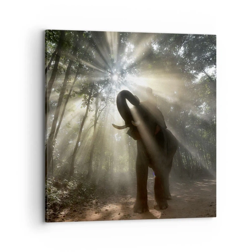 Cuadro sobre lienzo - Impresión de Imagen - Bajo una estrella de la suerte - 70x70 cm