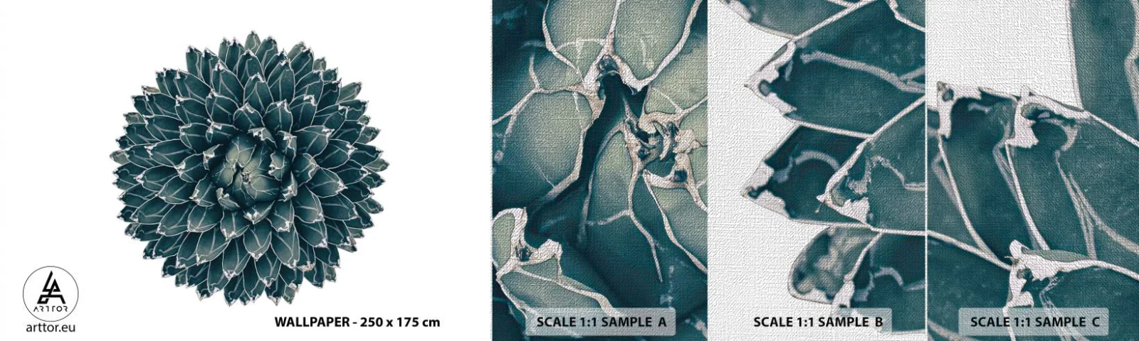 Muestra de fotomural Premium Canvas - Estrella del desierto - Cactus, Agave, Gráficos - 100x30 cm