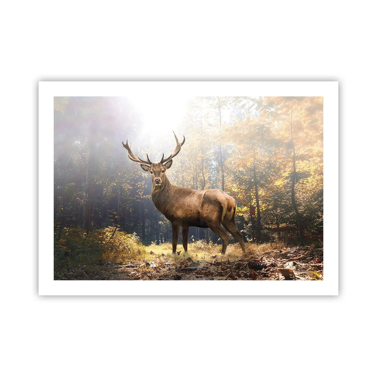 Póster - Con toda la majestuosidad - 70x50 cm