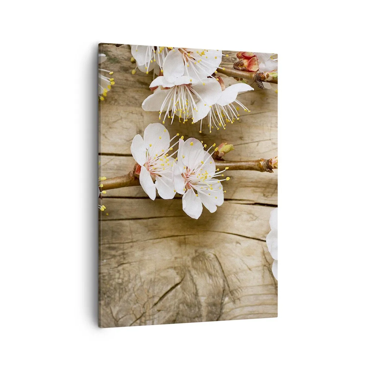 Cuadro sobre lienzo - Impresión de Imagen - Ramas de cerezos en flor sobre un fondo de tabla de madera - 50x70cm - Se acerca la primavera - Decoración de pared moderna para salón y dormitorio ARTTOR