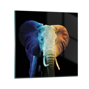 Cuadro sobre vidrio - Impresiones sobre Vidrio - Excéntrico, no un bicho raro - 50x50 cm