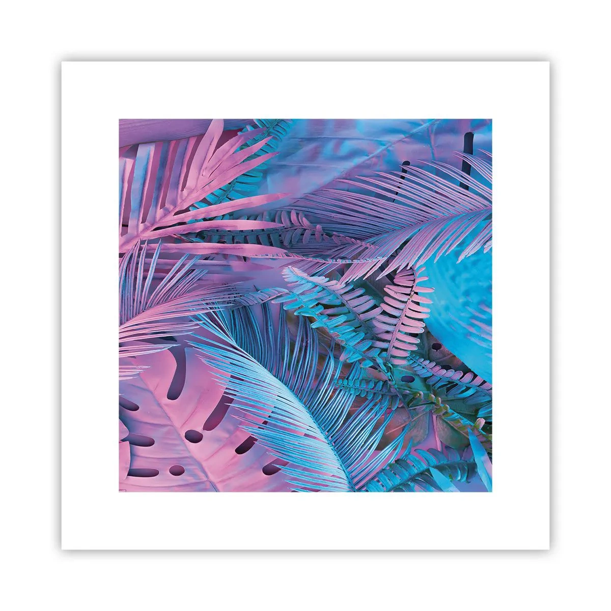 Póster - Trópicos en rosa y azul - 30x30 cm