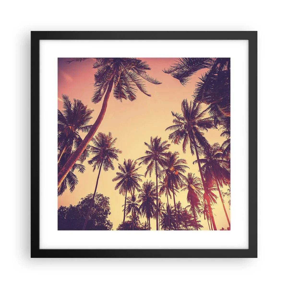 Póster en marco negro - Variante tropical - 40x40 cm