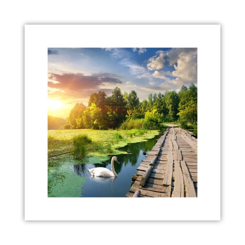 Póster - Verano, verano en todas partes - 30x30 cm