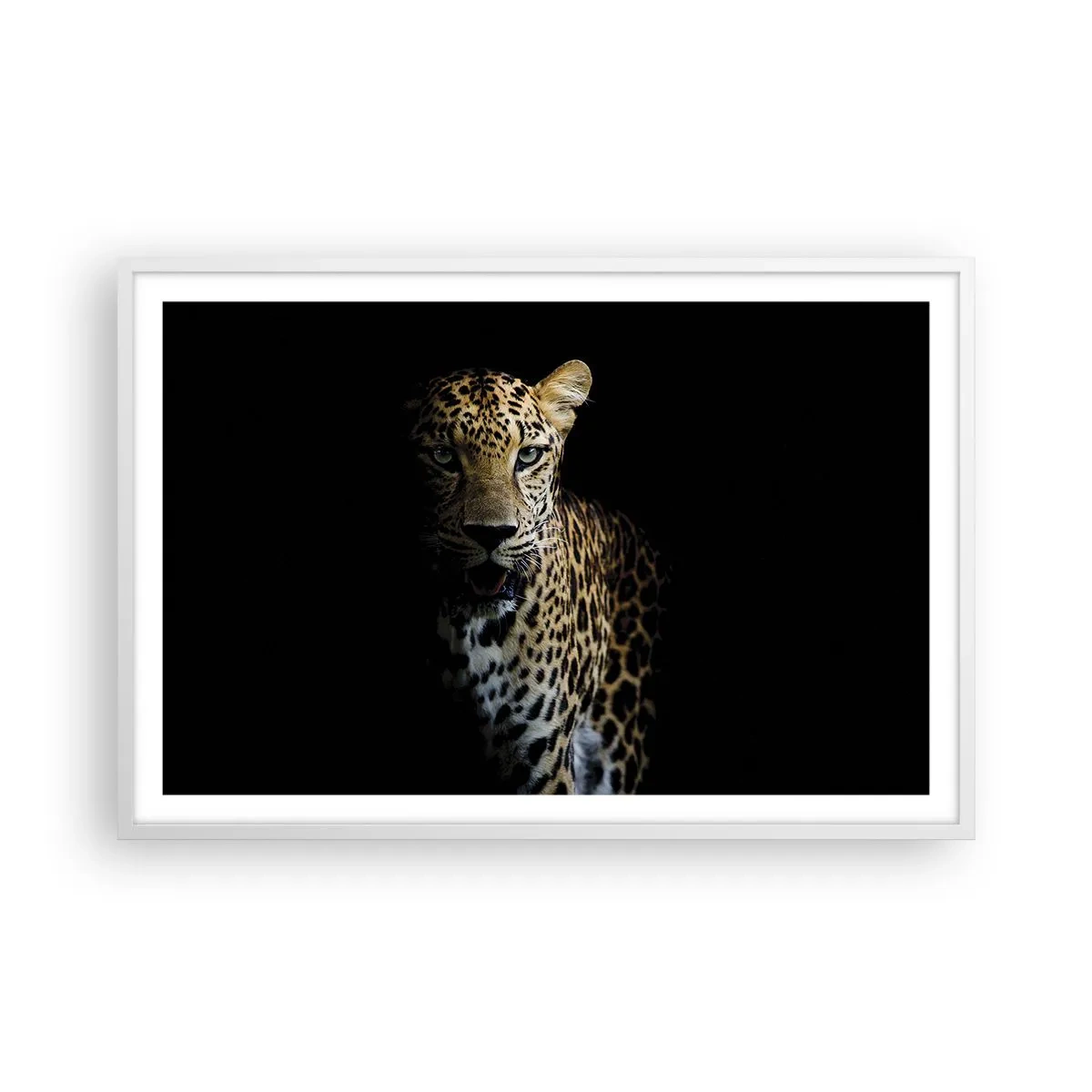 Póster en marco blanco - Belleza oscura - 91x61 cm