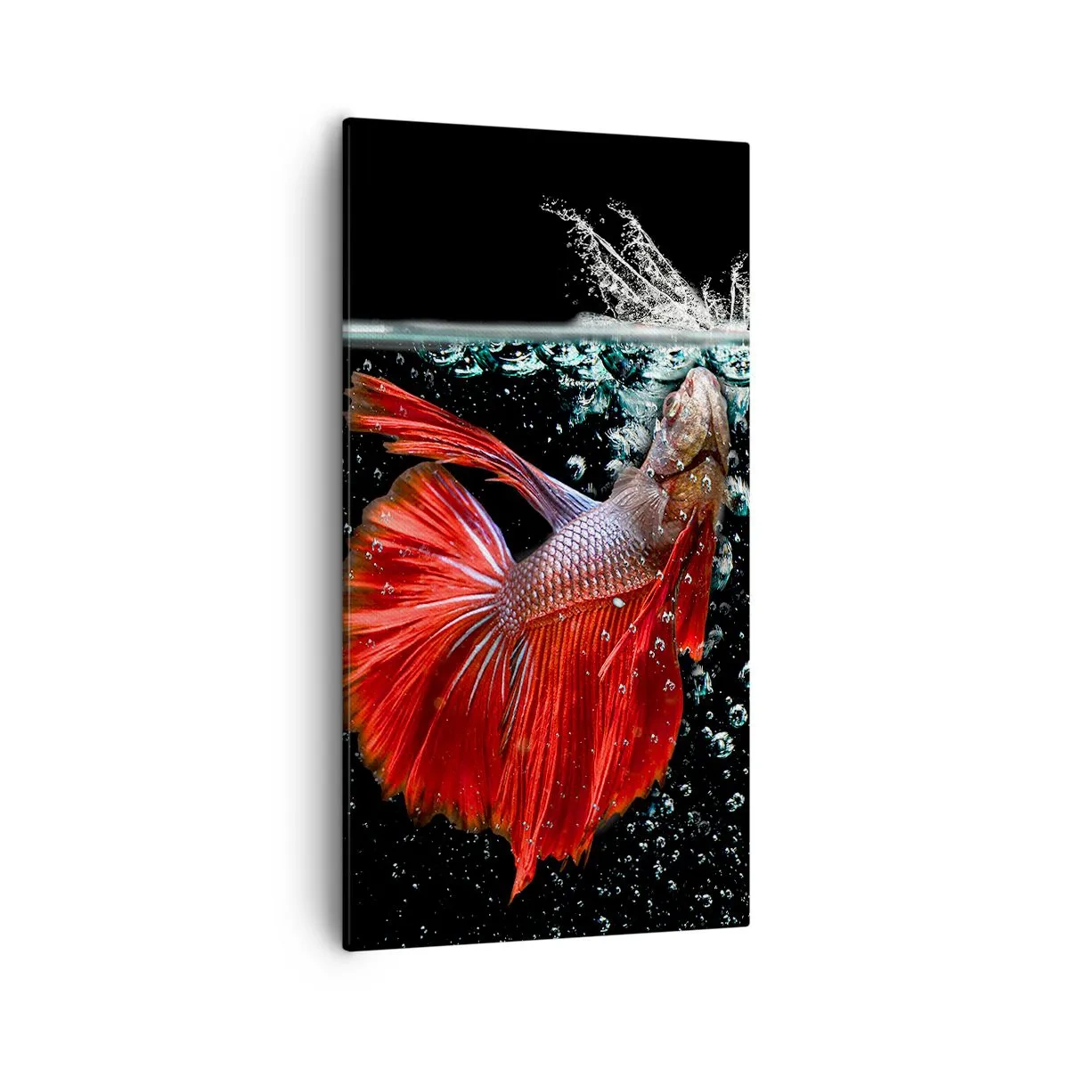 Cuadro sobre lienzo - Impresión de Imagen - Tienes tres deseos - 55x100 cm