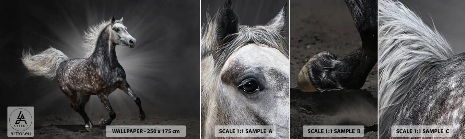 Muestra de fotomural autoadhesivo Deluxe Sticker - El gris es hermoso - animales, caballo arabe, Naturaleza - 100x30 cm