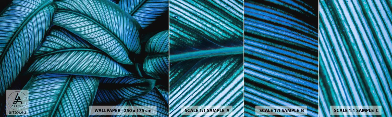 Muestra De Fotomural Standard Eco - Líneas de vida - Hojas, Botánica, Plantas - 100x30 cm