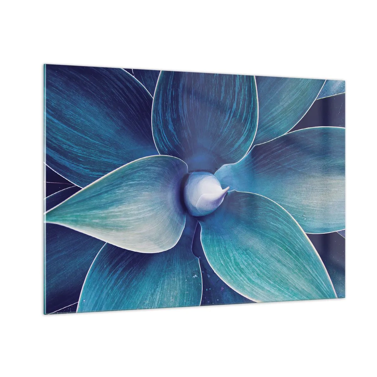 Cuadro sobre vidrio - Impresiones sobre Vidrio - Fotografía macro de una planta en tonos azules. - 100x70cm - Azul del cielo - Decoración de pared moderna para salón y dormitorio ARTTOR