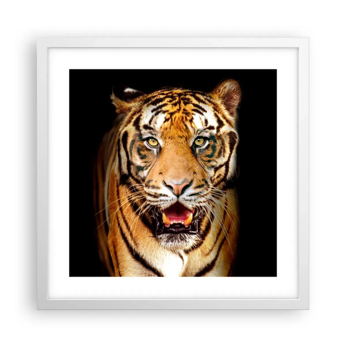 Póster en marco blanco - Salvaje de corazón - 40x40 cm