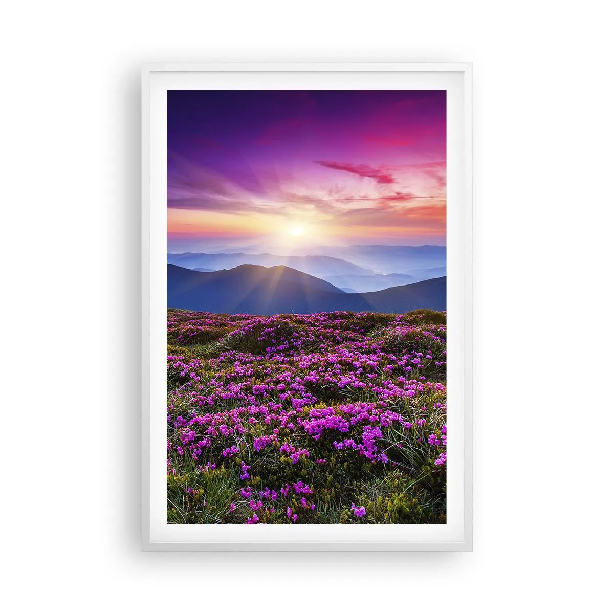 Póster en marco blanco - Dulce aroma a frescura - 61x91 cm