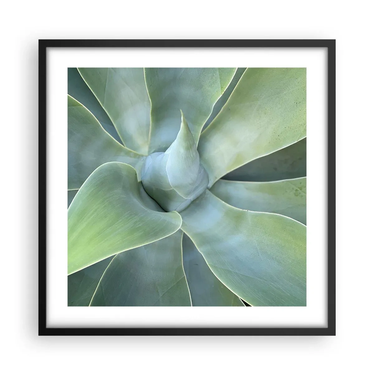 Póster en marco negro - El nacimiento del verde - 50x50 cm