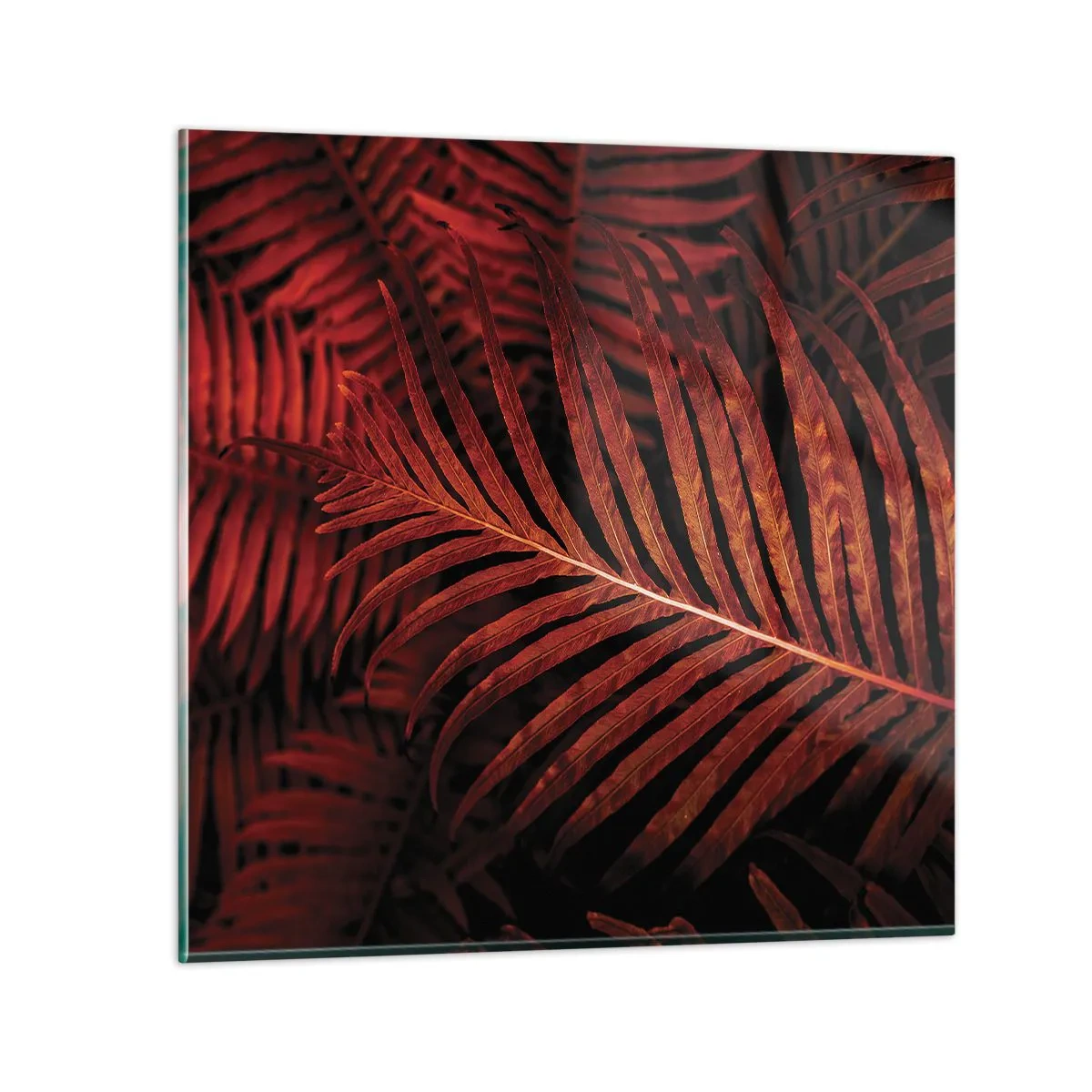Cuadro sobre vidrio - Impresiones sobre Vidrio - Las brasas de la vida - 70x70 cm