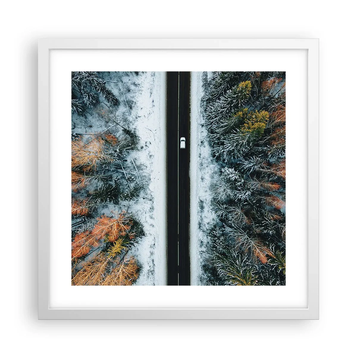 Póster en marco blanco - Atravesar el bosque en invierno - 40x40 cm