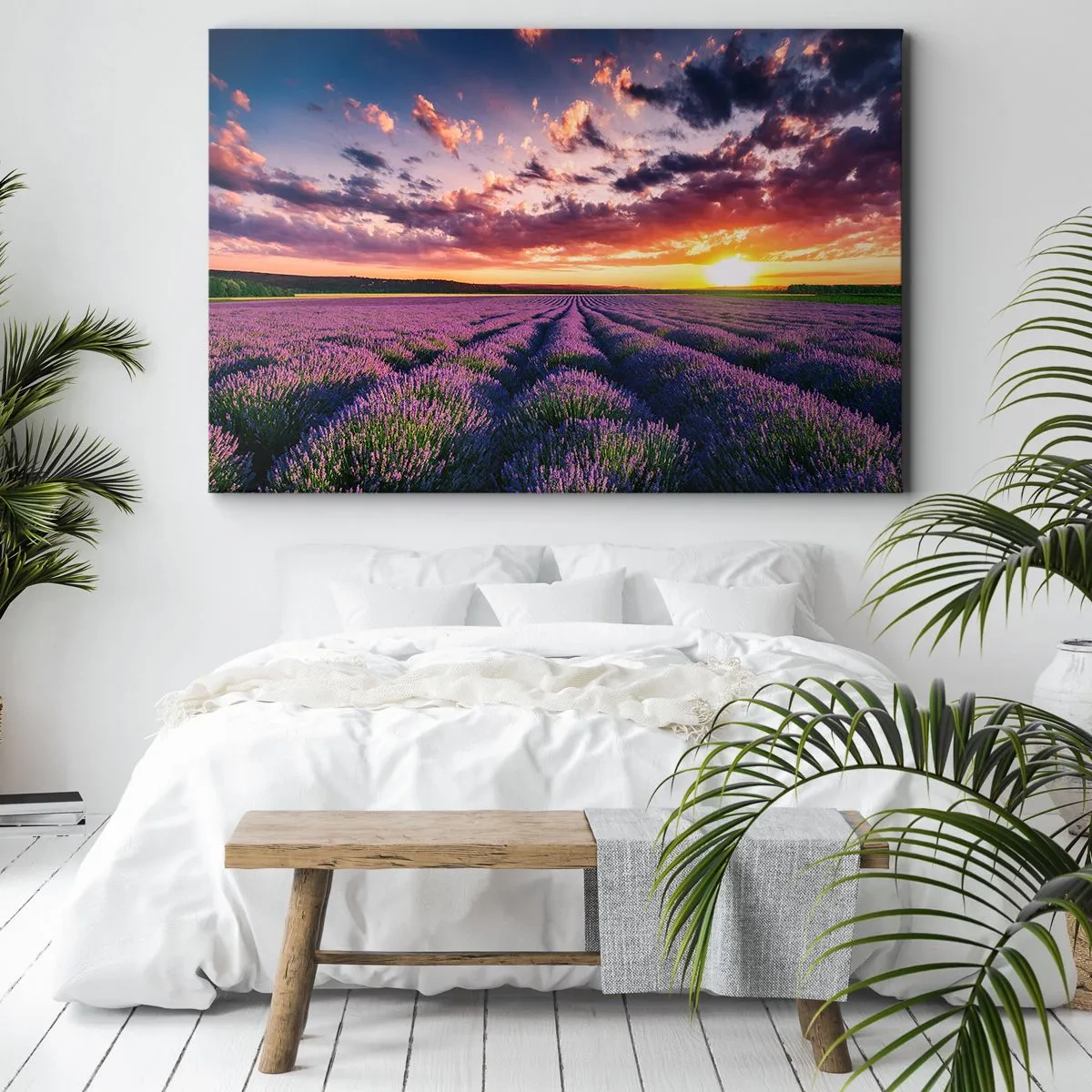 Cuadro sobre lienzo - Impresión de Imagen - El mundo de la lavanda - 70x50 cm