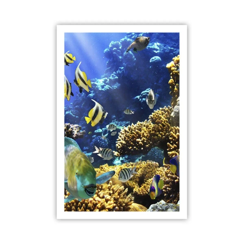 Póster - Vacaciones submarinas - 61x91 cm