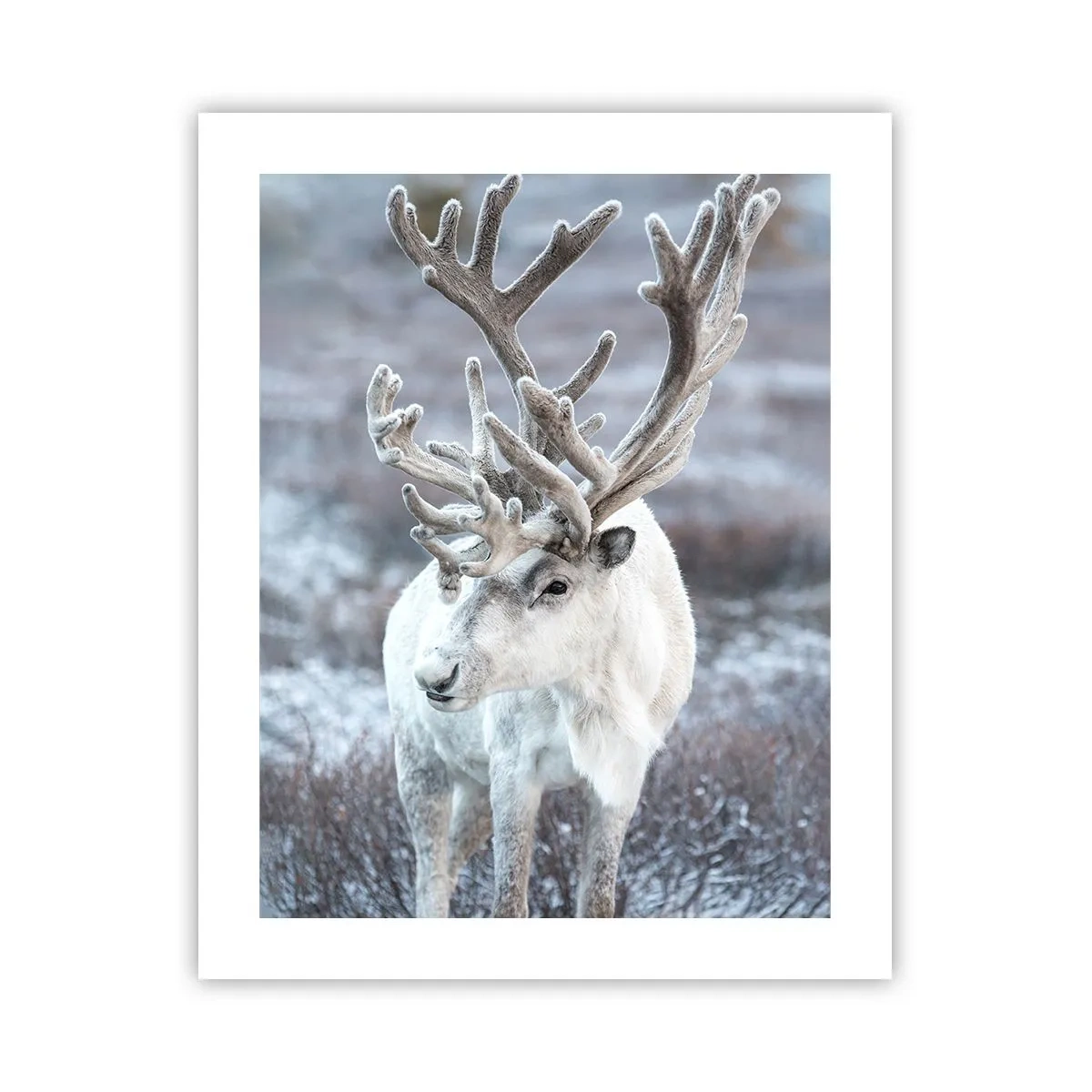 Póster - Retrato al sol - 40x50 cm