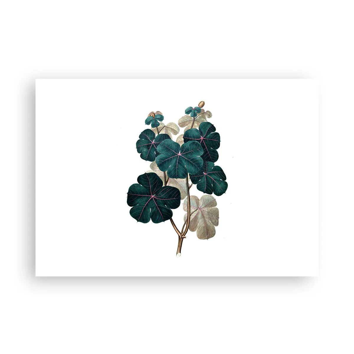 Póster - Ilustración botánica con hojas en tonos verdes y beige. - 100x70cm - De un viejo herbario - Decoración de pared moderna para salón y dormitorio ARTTOR